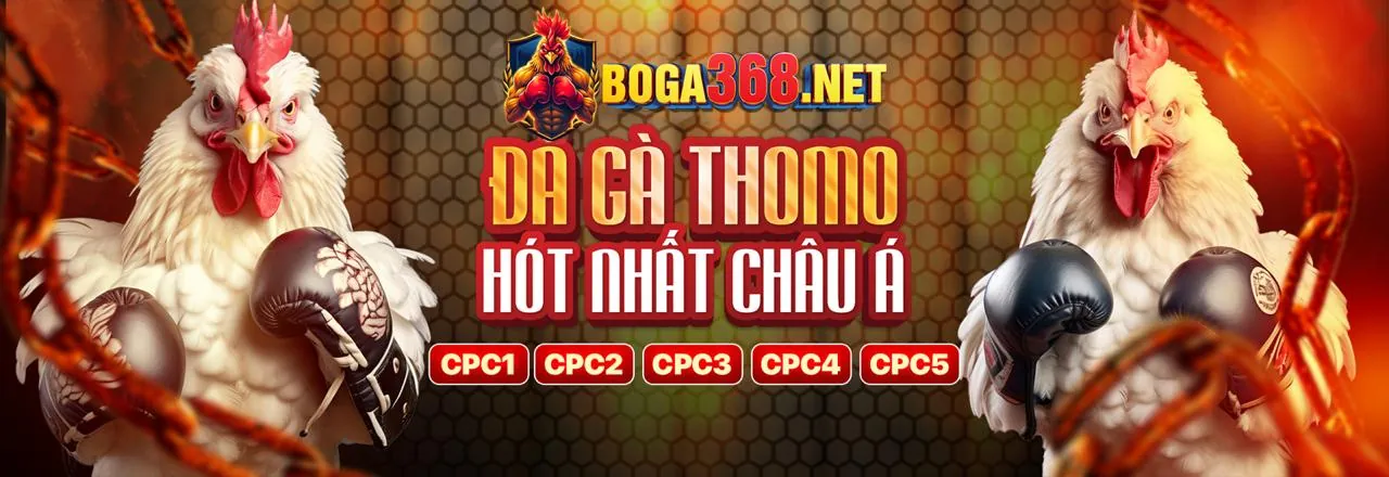 Hình ảnh Chính sách Cookie của 55vin website chính thức