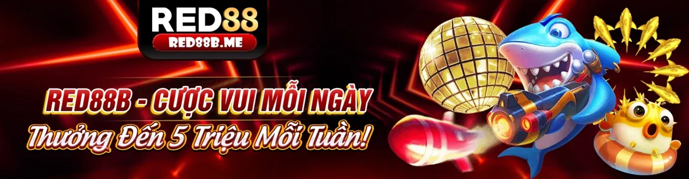 Hình ảnh giới thiệu 55vin website chính thức, nền tảng cá cược trực tuyến hàng đầu